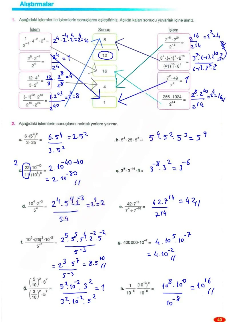 8. Sınıf Matematik Ders Kitabı Cevapları Berkay Yayınları Sayfa 43 Çözüm Görseli