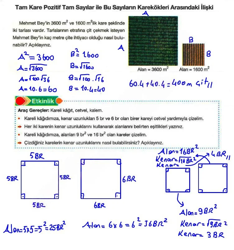 8. Sınıf Matematik Ders Kitabı Cevapları Berkay Yayınları Sayfa 56 Çözüm Görseli