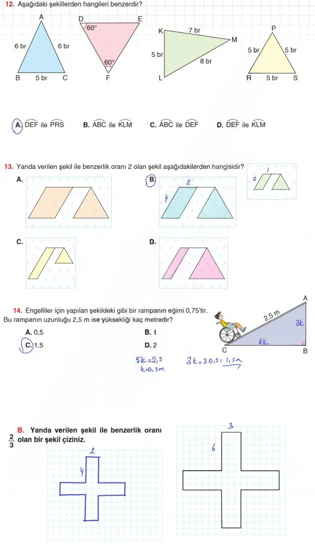 8. Sınıf Matematik Ders Kitabı Cevapları Koza Yayınları Sayfa 219 Çözüm Görseli