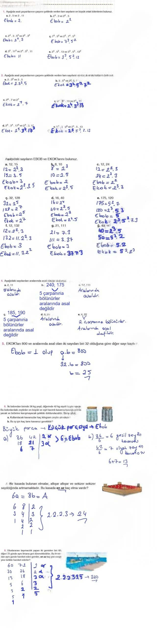 8. Sınıf Matematik Ders Kitabı Cevapları Koza Yayınları Sayfa 24 Çözüm Görseli