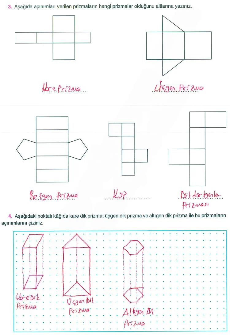 8. Sınıf Matematik Ders Kitabı Cevapları Koza Yayınları Sayfa 244 Çözüm Görseli