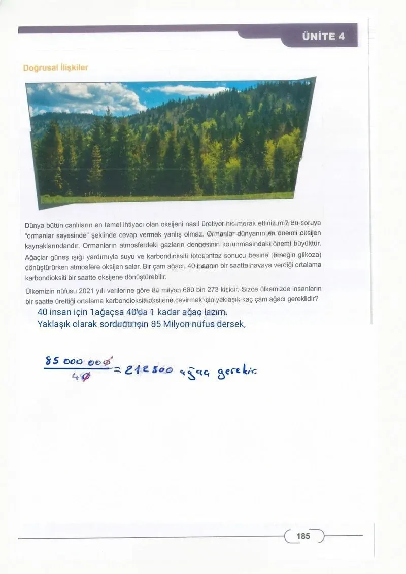 8. Sınıf Matematik Ders Kitabı Cevapları Meb Yayınları Sayfa 195 Çözüm Görseli