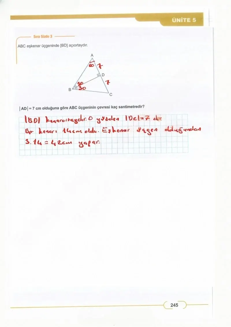 8. Sınıf Matematik Ders Kitabı Cevapları Meb Yayınları Sayfa 245 Çözüm Görseli