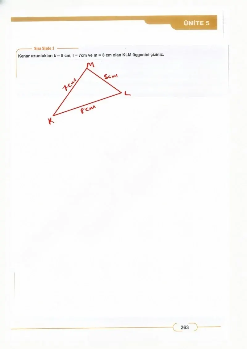 8. Sınıf Matematik Ders Kitabı Cevapları Meb Yayınları Sayfa 263 Çözüm Görseli