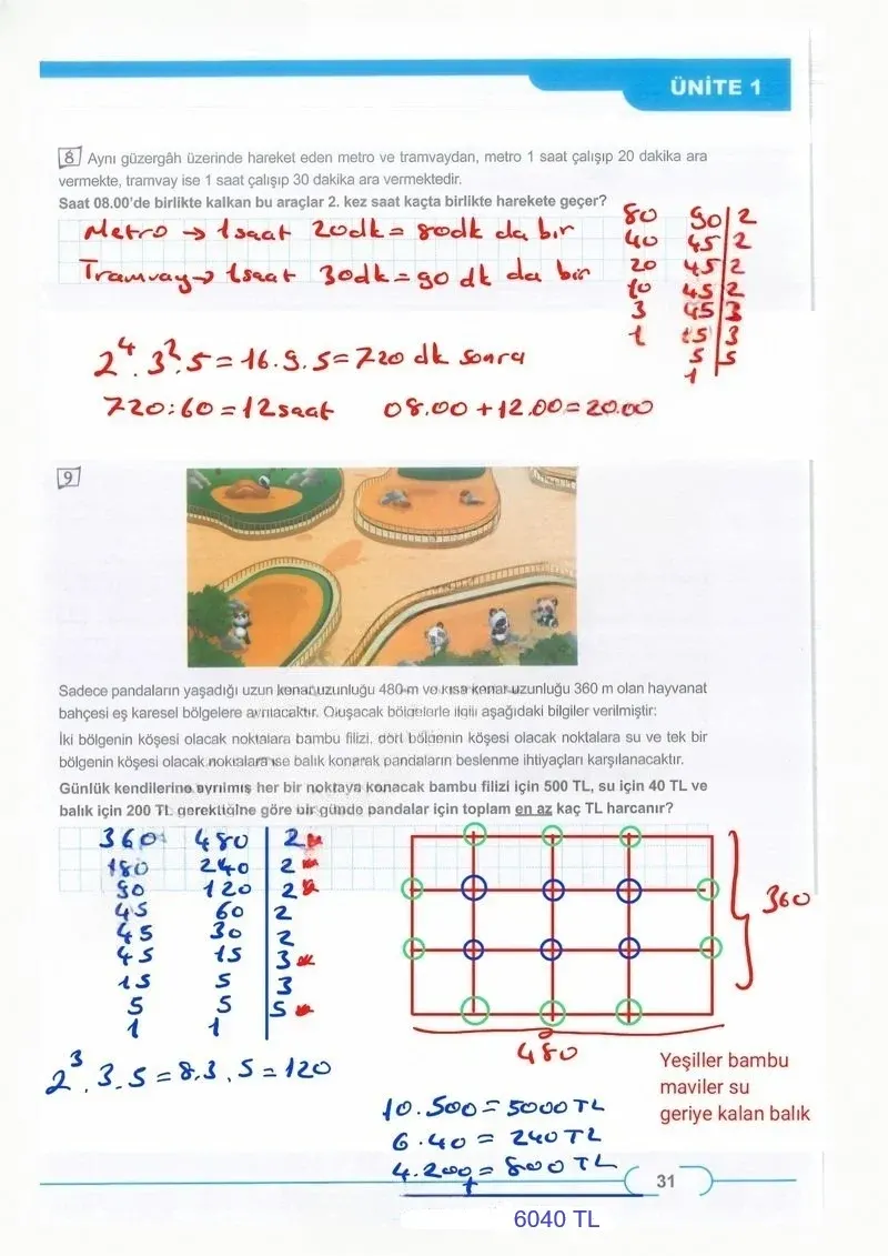 8. Sınıf Matematik Ders Kitabı Cevapları Meb Yayınları Sayfa 31 Çözüm Görseli