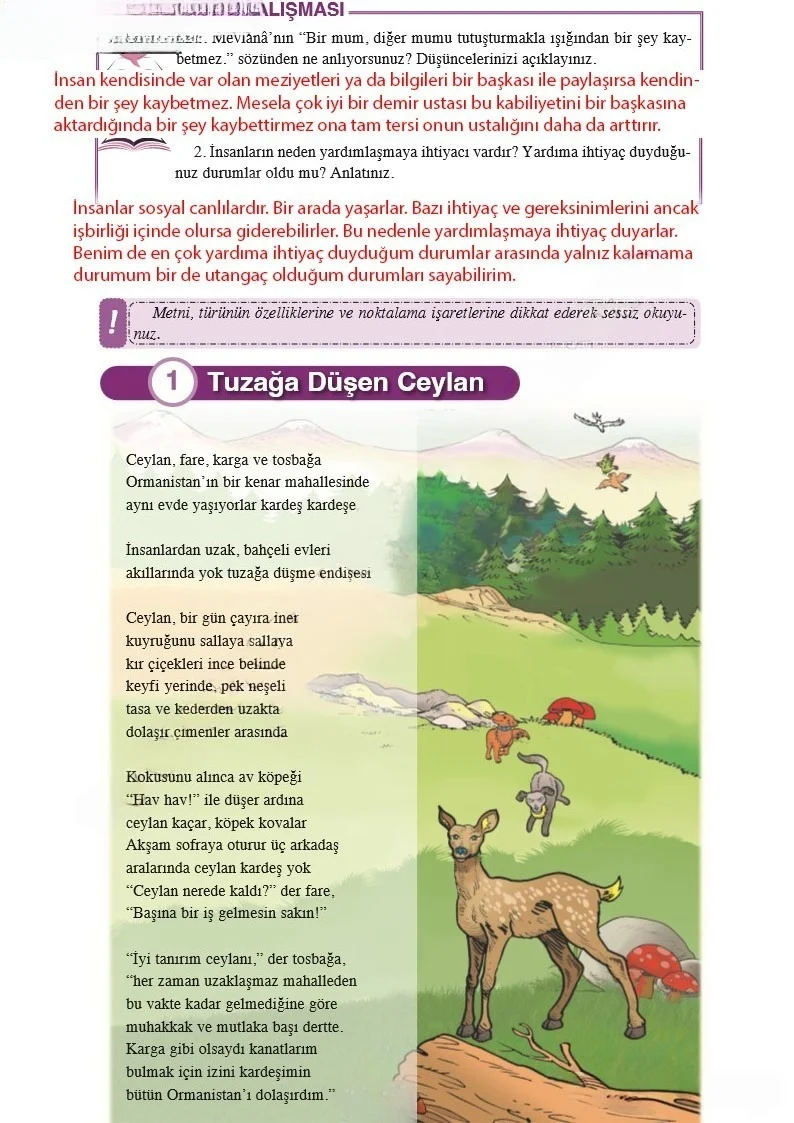 8. Sınıf Türkçe Ders Kitabı Cevapları Hecce Yayınları Sayfa 12 Çözüm Görseli