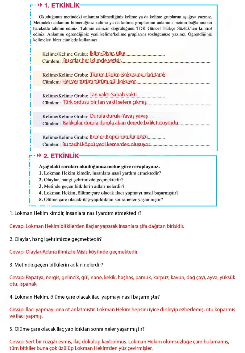 8. Sınıf Türkçe Ders Kitabı Cevapları Hecce Yayınları Sayfa 214 Çözüm Görseli
