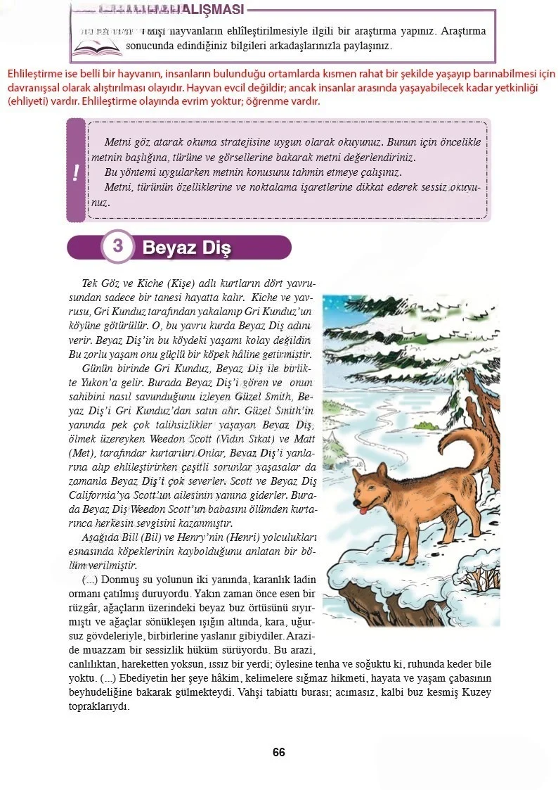 8. Sınıf Türkçe Ders Kitabı Cevapları Hecce Yayınları Sayfa 66 Çözüm Görseli