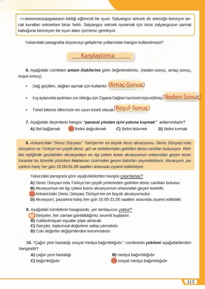 8. Sınıf Türkçe Ders Kitabı Cevapları Meb Yayınları Sayfa 113 Çözüm Görseli