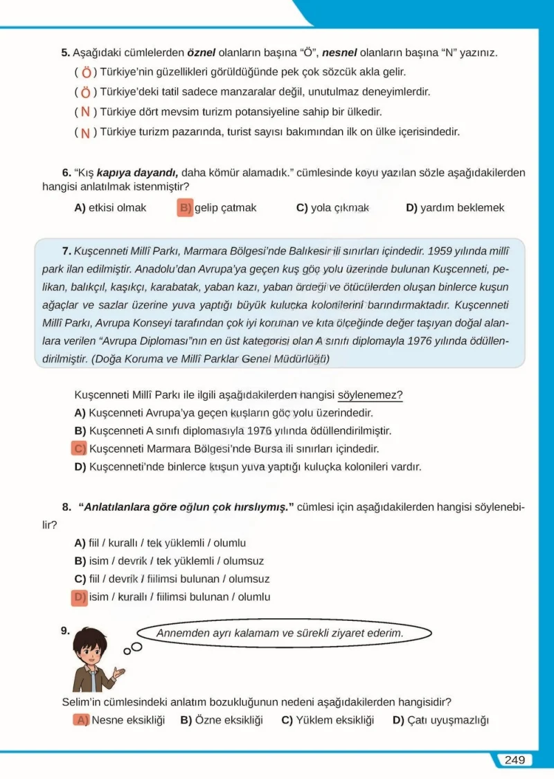 8. Sınıf Türkçe Ders Kitabı Cevapları Meb Yayınları Sayfa 249 Çözüm Görseli