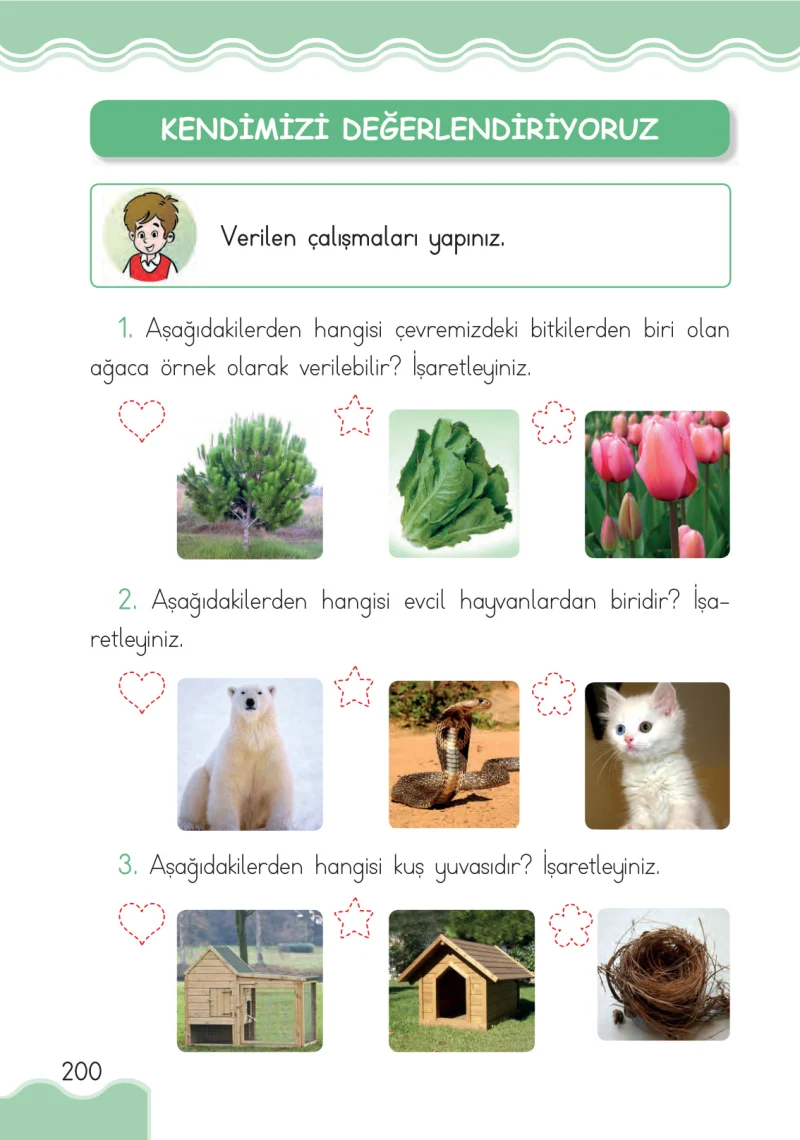 1. Sınıf Hayat Bilgisi Ders Kitabı Cevapları Ardıç Yayınları Sayfa 200