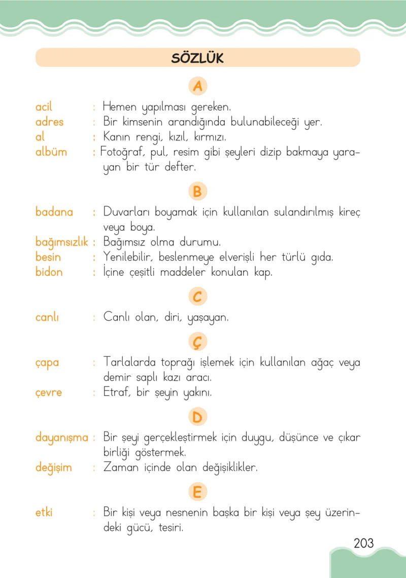 1. Sınıf Hayat Bilgisi Ders Kitabı Cevapları Ardıç Yayınları Sayfa 203