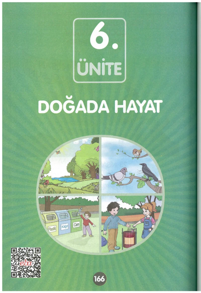 1. Sınıf Hayat Bilgisi Ders Kitabı Cevapları Kök-e Yayınları Sayfa 166