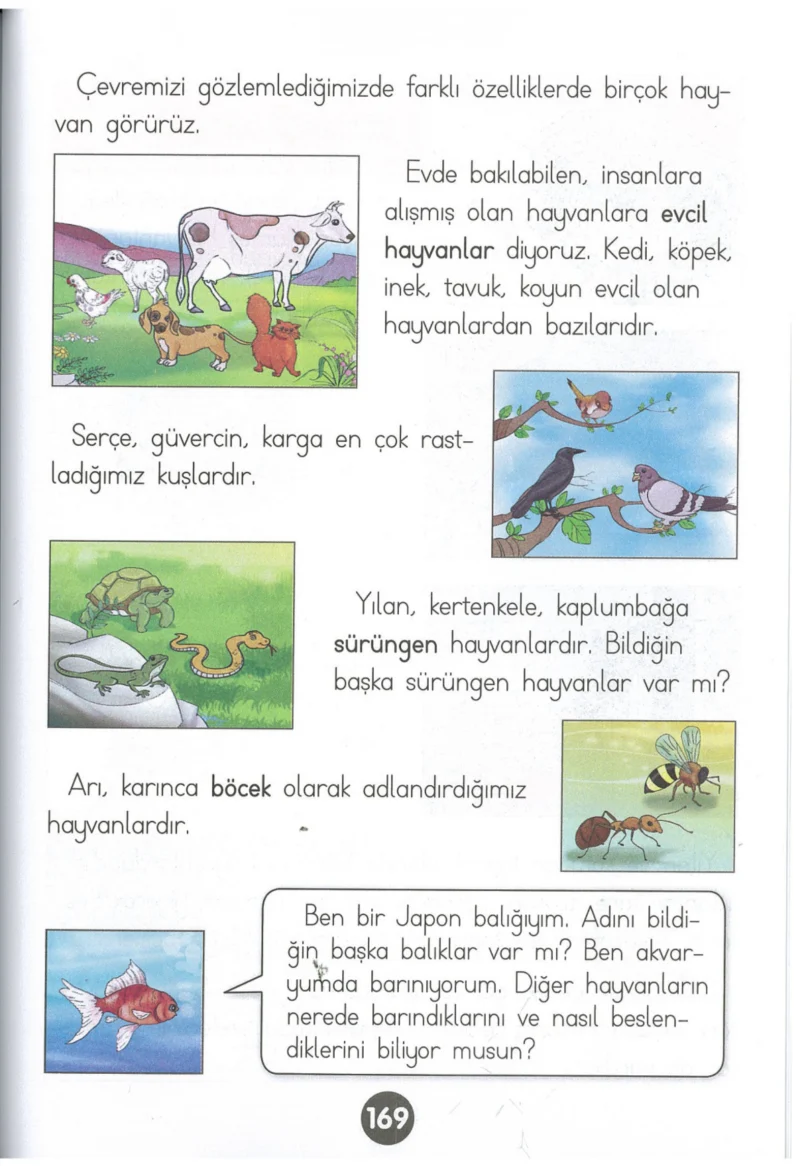 1. Sınıf Hayat Bilgisi Ders Kitabı Cevapları Kök-e Yayınları Sayfa 169