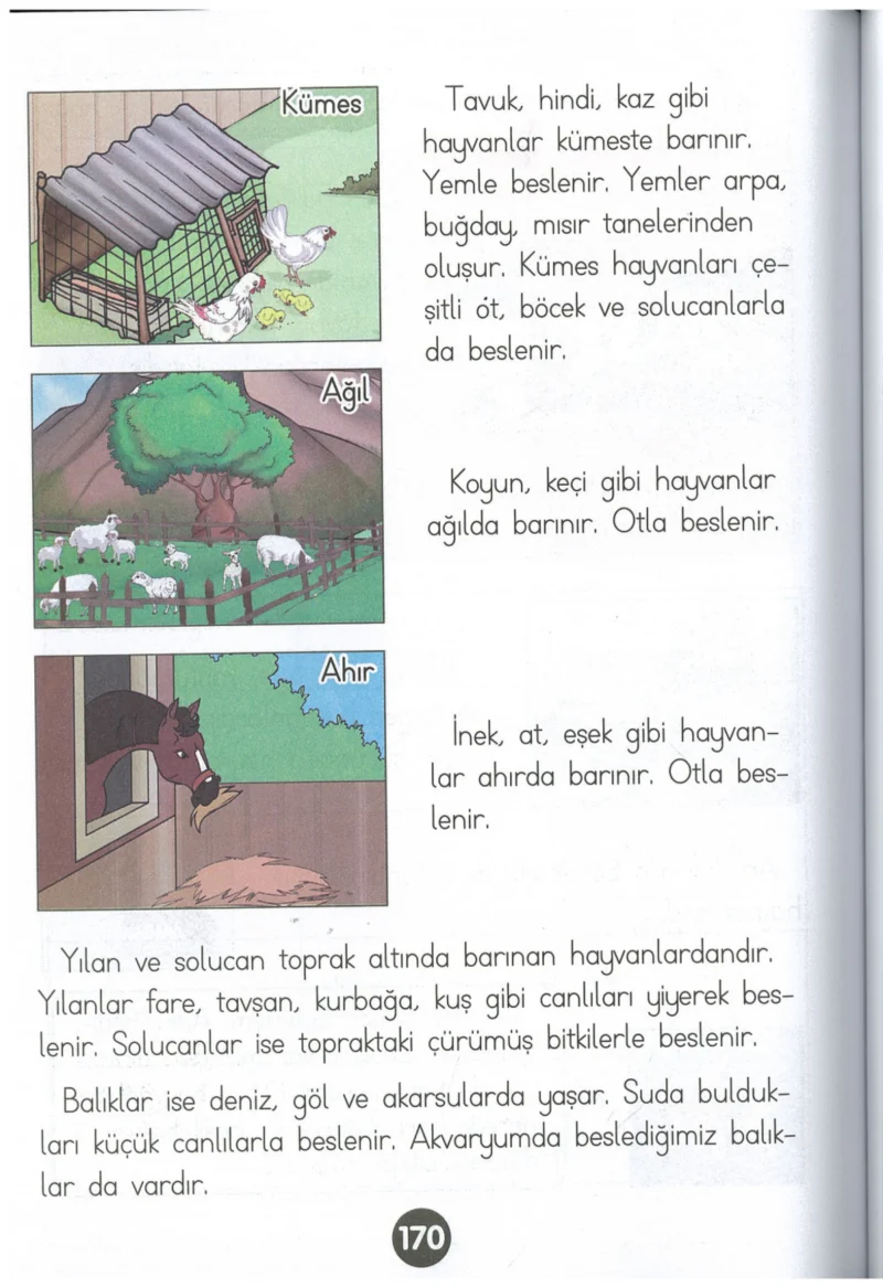 1. Sınıf Hayat Bilgisi Ders Kitabı Cevapları Kök-e Yayınları Sayfa 170
