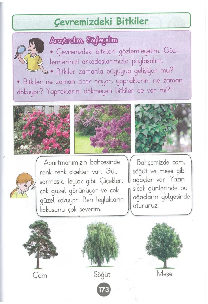 1. Sınıf Hayat Bilgisi Ders Kitabı Cevapları Kök-e Yayınları Sayfa 173