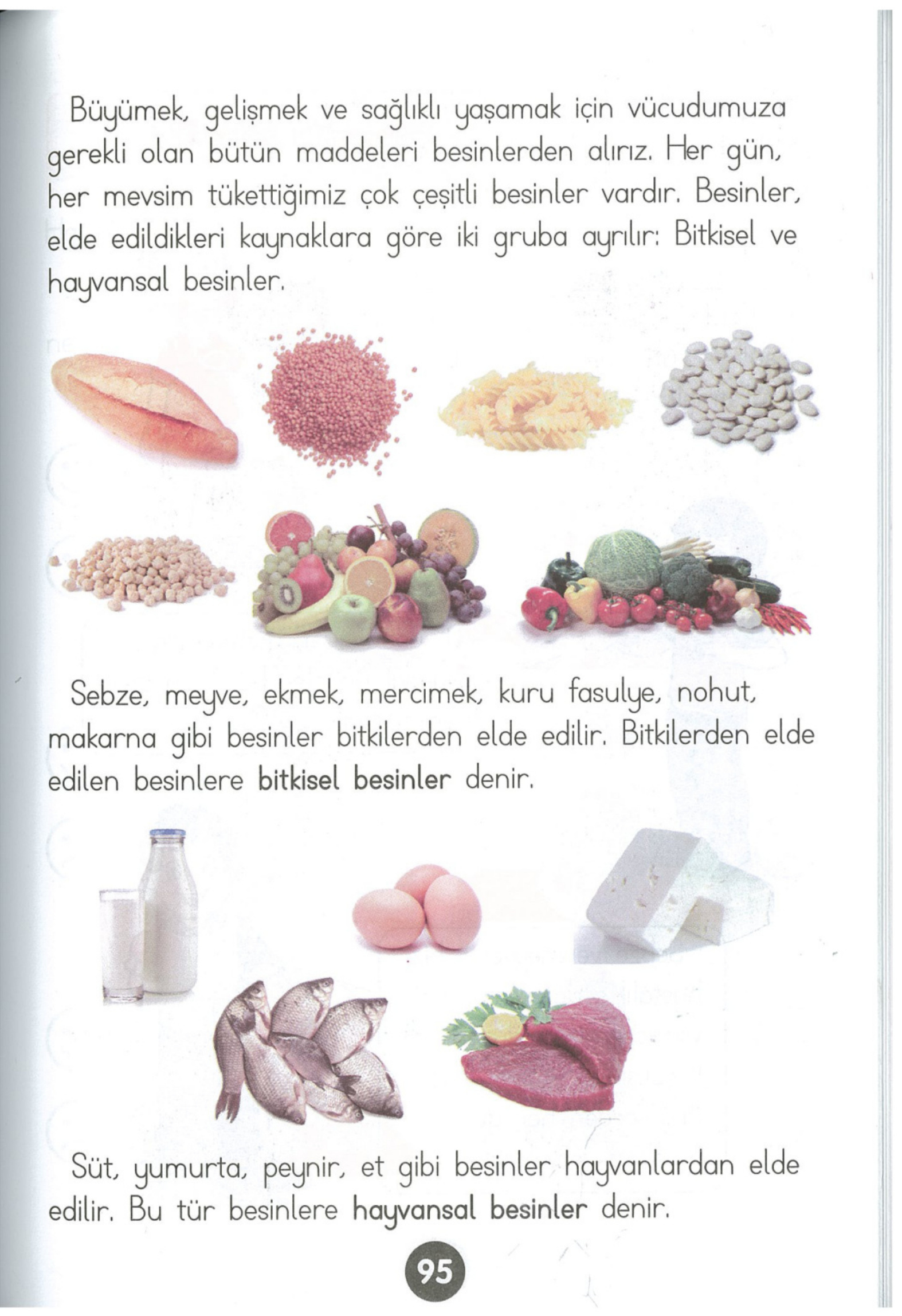 Kitap Sayfası