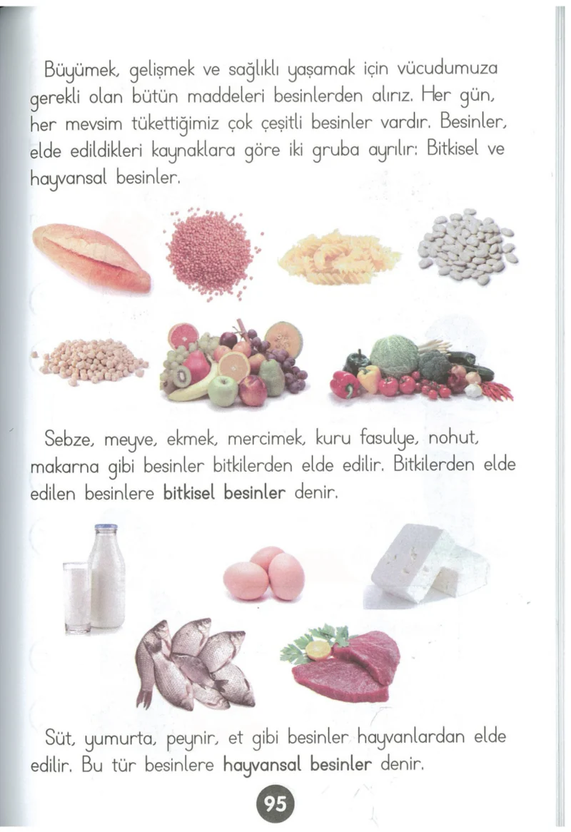 1. Sınıf Hayat Bilgisi Ders Kitabı Cevapları Kök-e Yayınları Sayfa 95