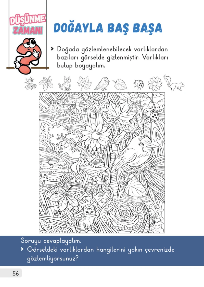 1. Sınıf Hayat Bilgisi Ders Kitabı Cevapları Meb Yayınları 2. Kitap Sayfa 56