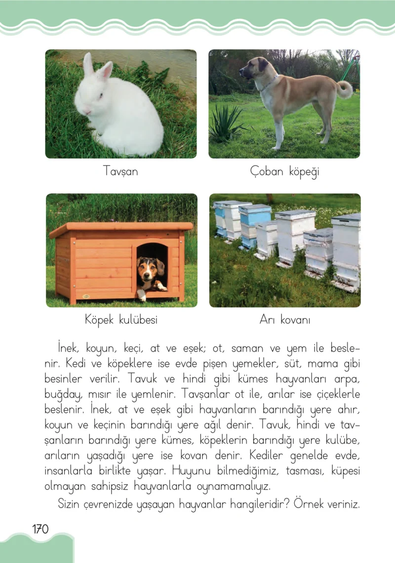 1. Sınıf Hayat Bilgisi Ders Kitabı Cevapları Pasifik Yayınları Sayfa 170