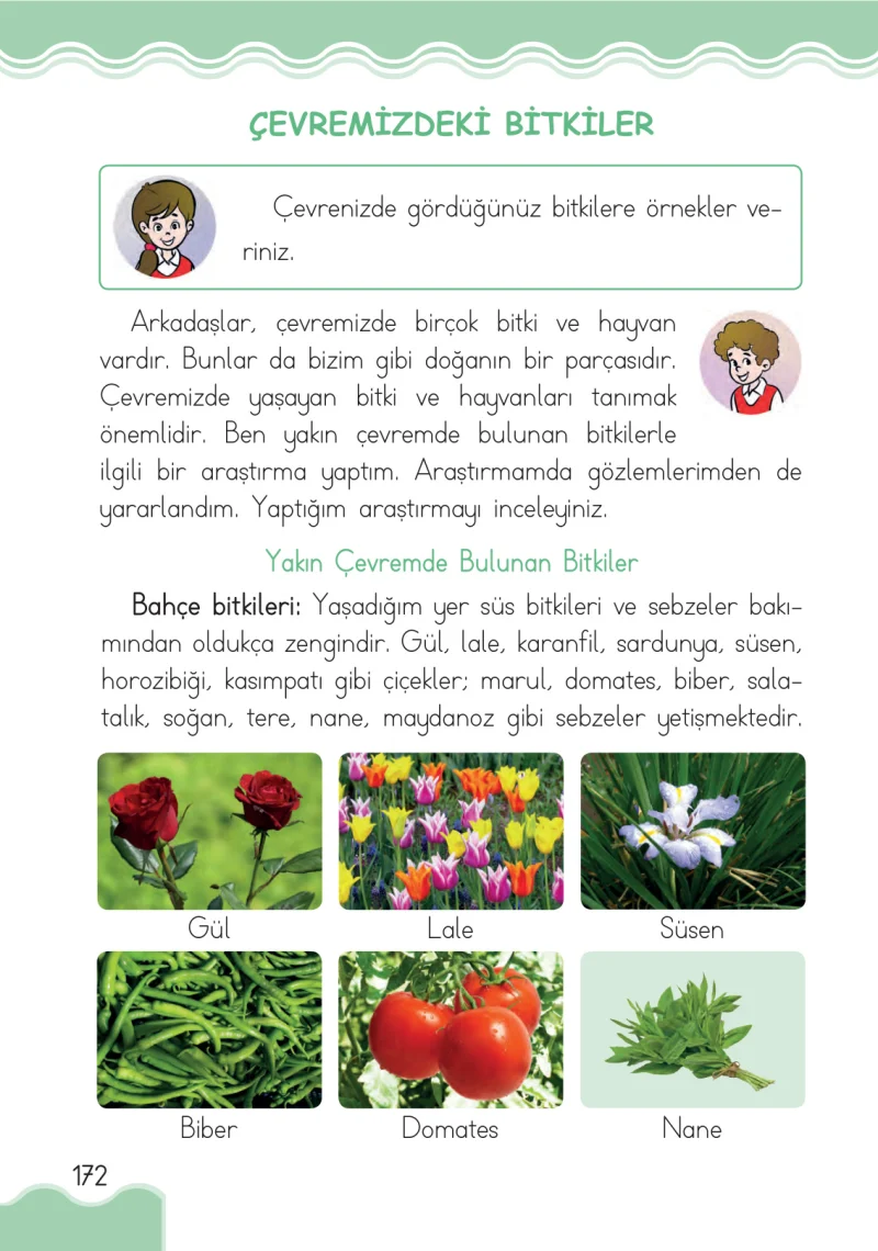 1. Sınıf Hayat Bilgisi Ders Kitabı Cevapları Pasifik Yayınları Sayfa 172