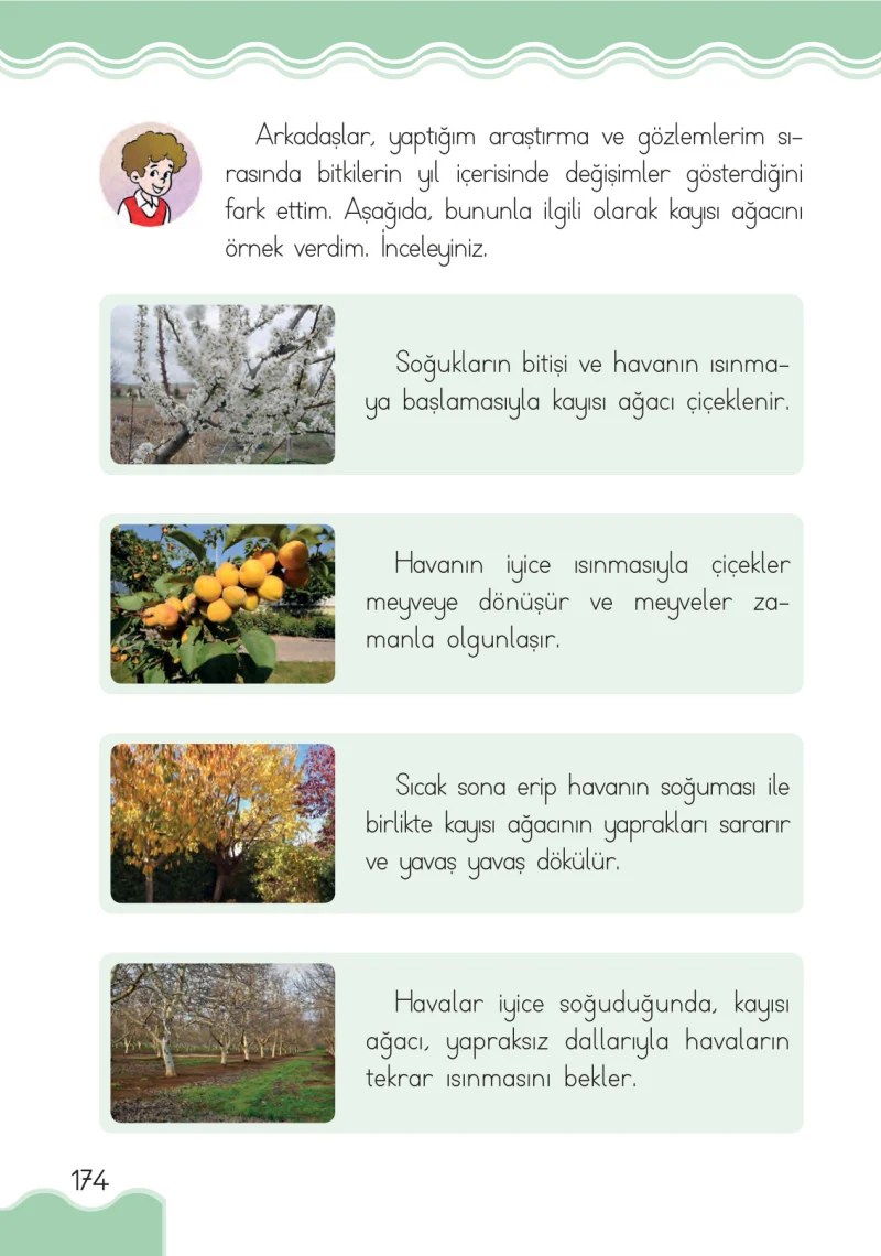 1. Sınıf Hayat Bilgisi Ders Kitabı Cevapları Pasifik Yayınları Sayfa 174