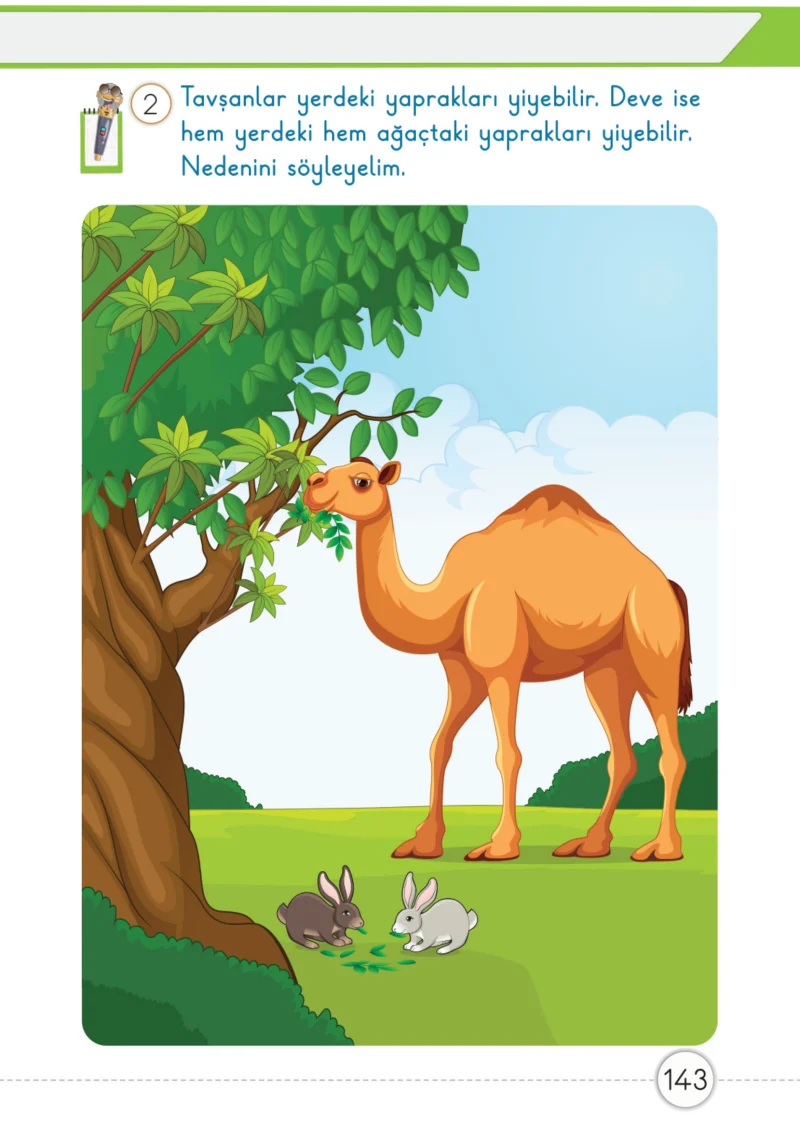 1. Sınıf Matematik Ders Kitabı Cevapları Meb Yayınları 1. Kitap Sayfa 143