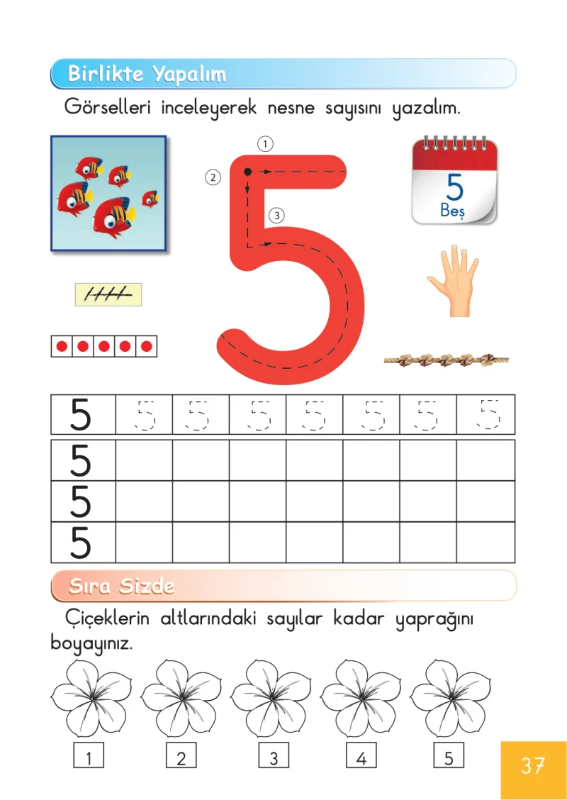 1. Sınıf Matematik Ders Kitabı Cevapları Meb Yayınları Sayfa 37