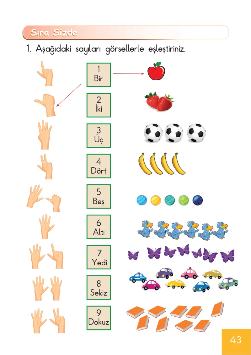 1. Sınıf Matematik Ders Kitabı Cevapları Meb Yayınları Sayfa 43