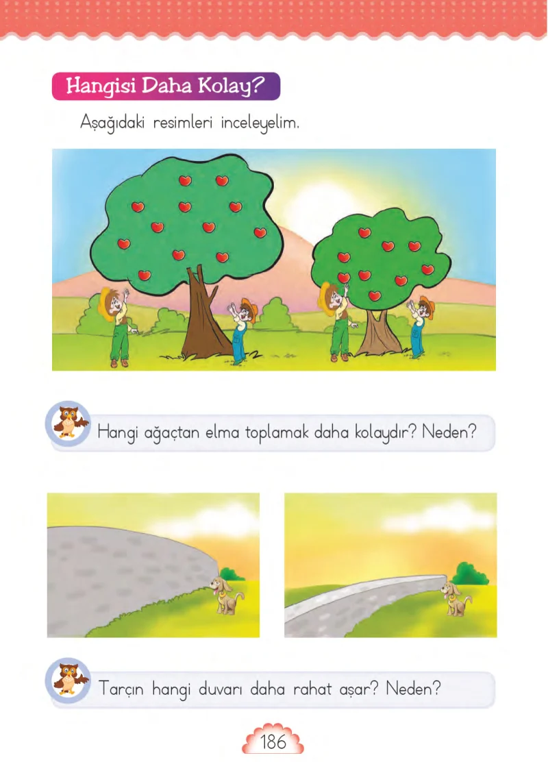 1. Sınıf Matematik Ders Kitabı Cevapları MHG Yayınları Sayfa 186