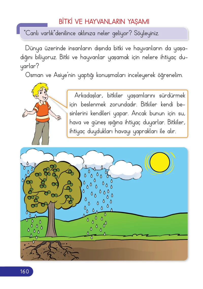 2. Sınıf Hayat Bilgisi Ders Kitabı Cevapları Ata Yayıncılık Sayfa 160