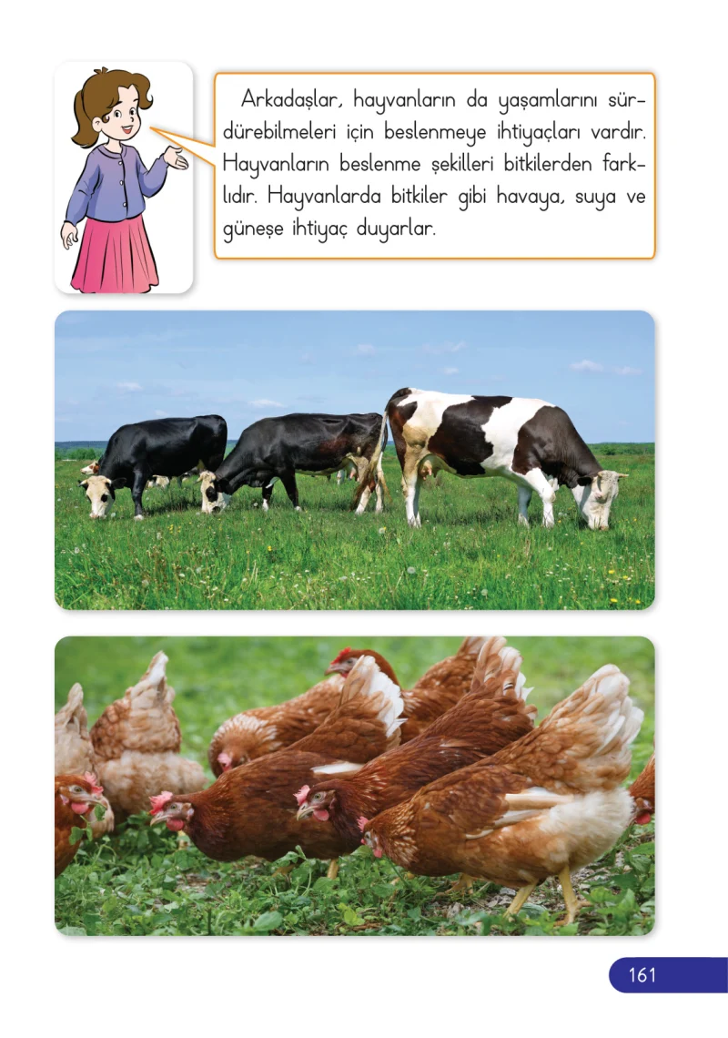 2. Sınıf Hayat Bilgisi Ders Kitabı Cevapları Ata Yayıncılık Sayfa 161