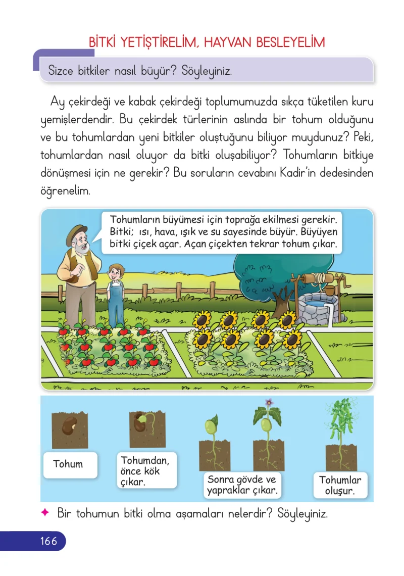 2. Sınıf Hayat Bilgisi Ders Kitabı Cevapları Ata Yayıncılık Sayfa 166