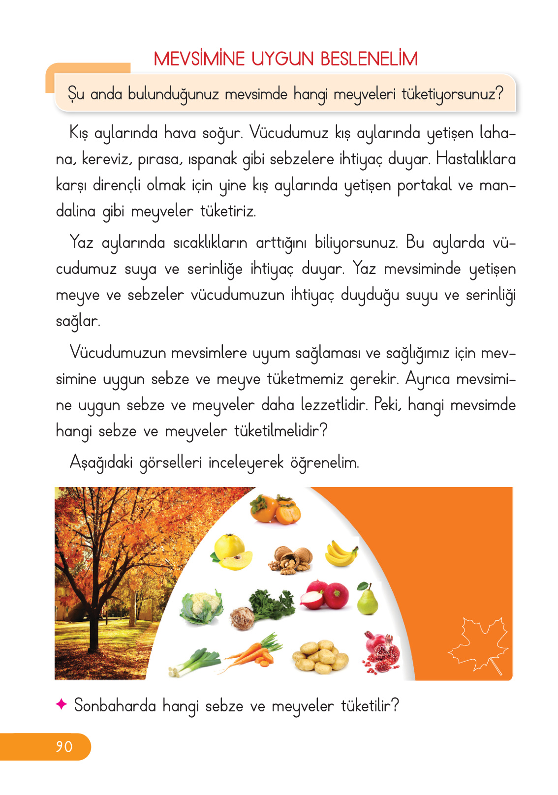 Kitap Sayfası