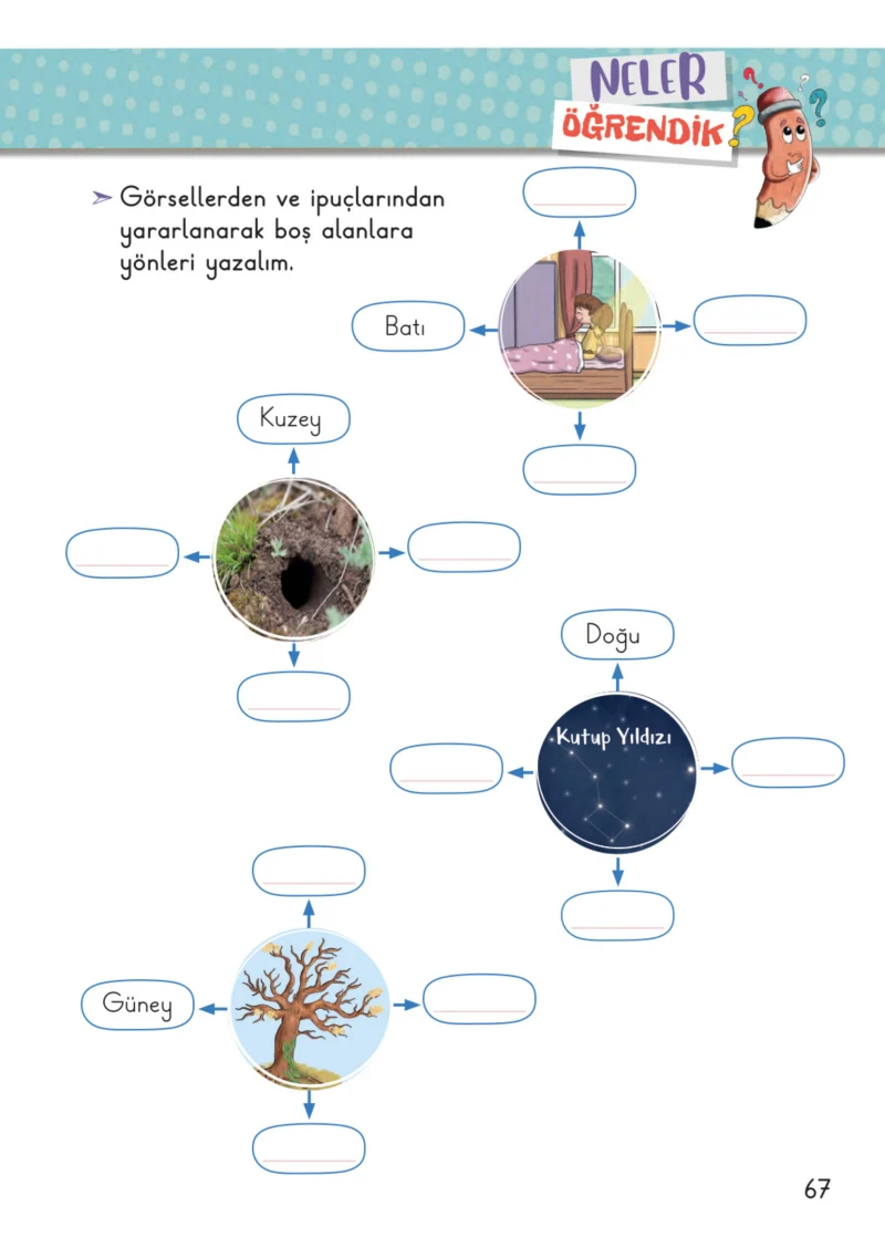 2. Sınıf Hayat Bilgisi Ders Kitabı Cevapları Meb Yayınları 2. Kitap Sayfa 67