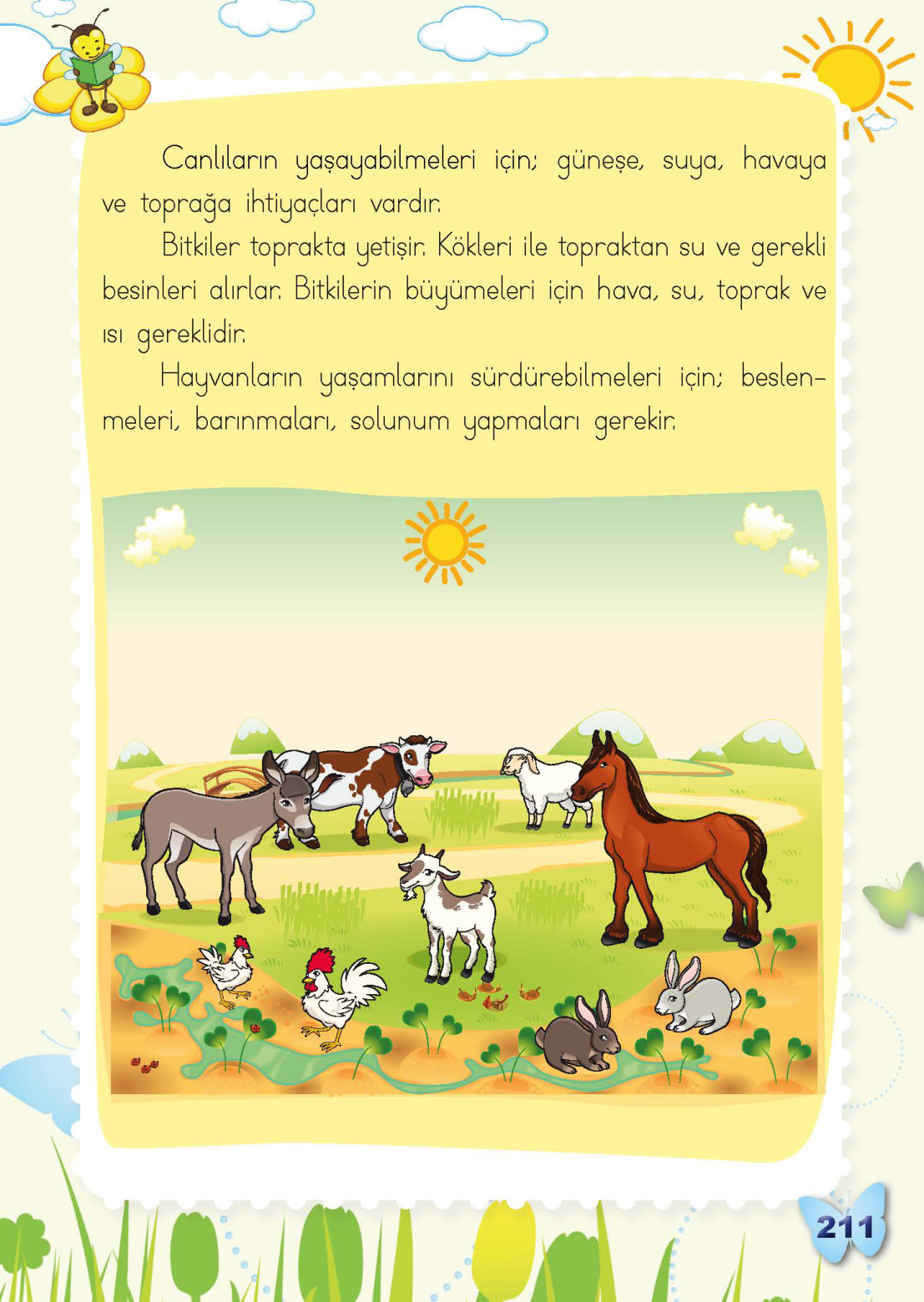 Kitap Sayfası
