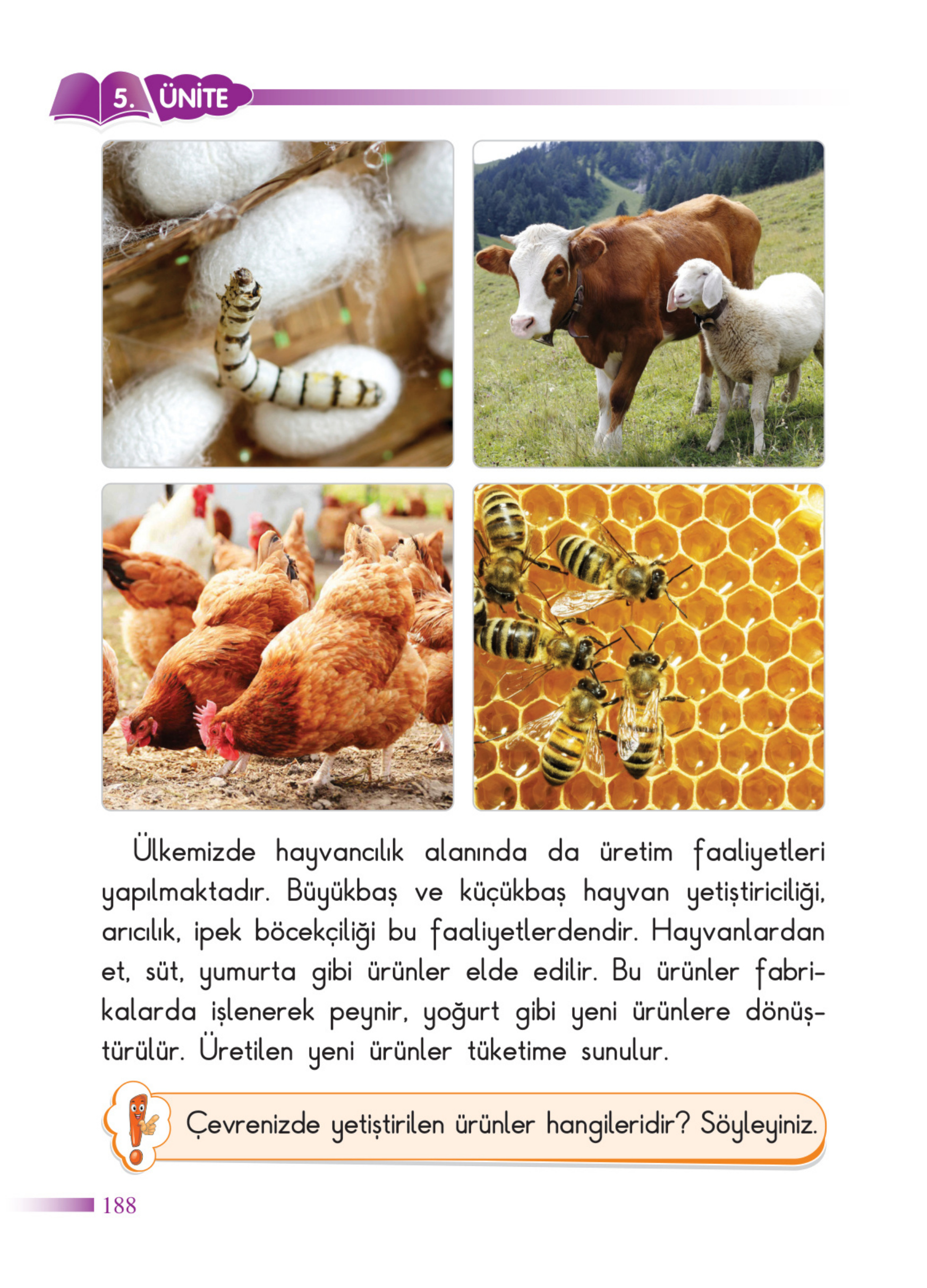 Kitap Sayfası