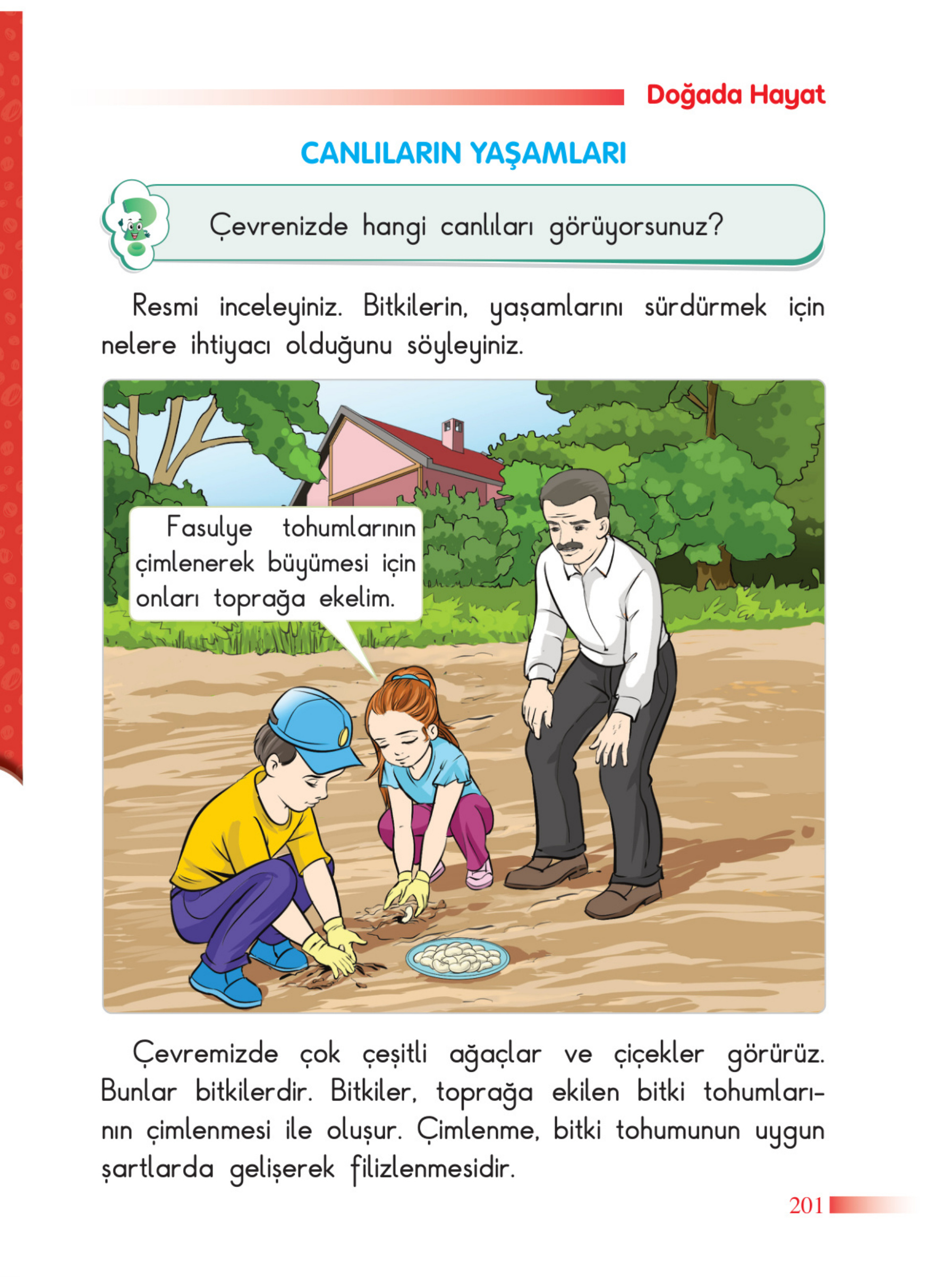 Kitap Sayfası