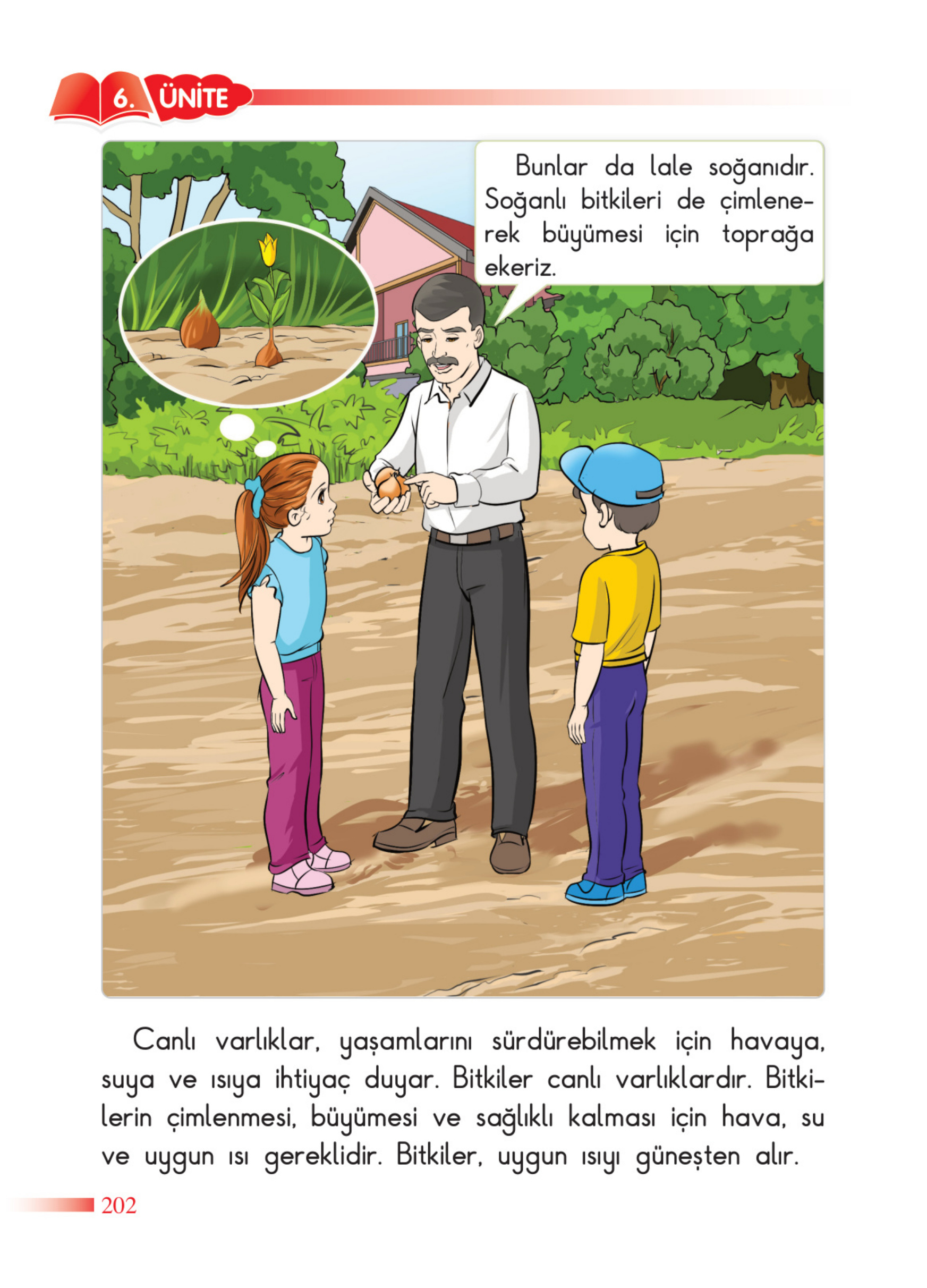 Kitap Sayfası