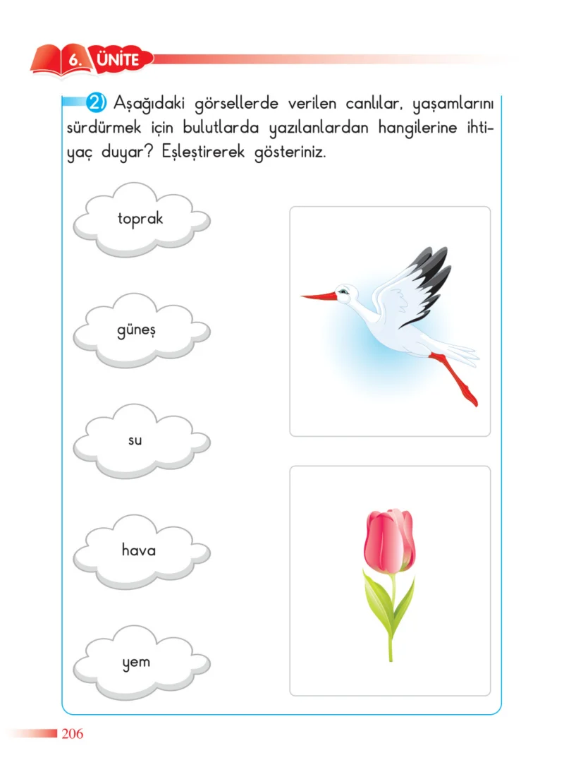 2. Sınıf Hayat Bilgisi Ders Kitabı Cevapları SDR Dİkey Yayınları Sayfa 206