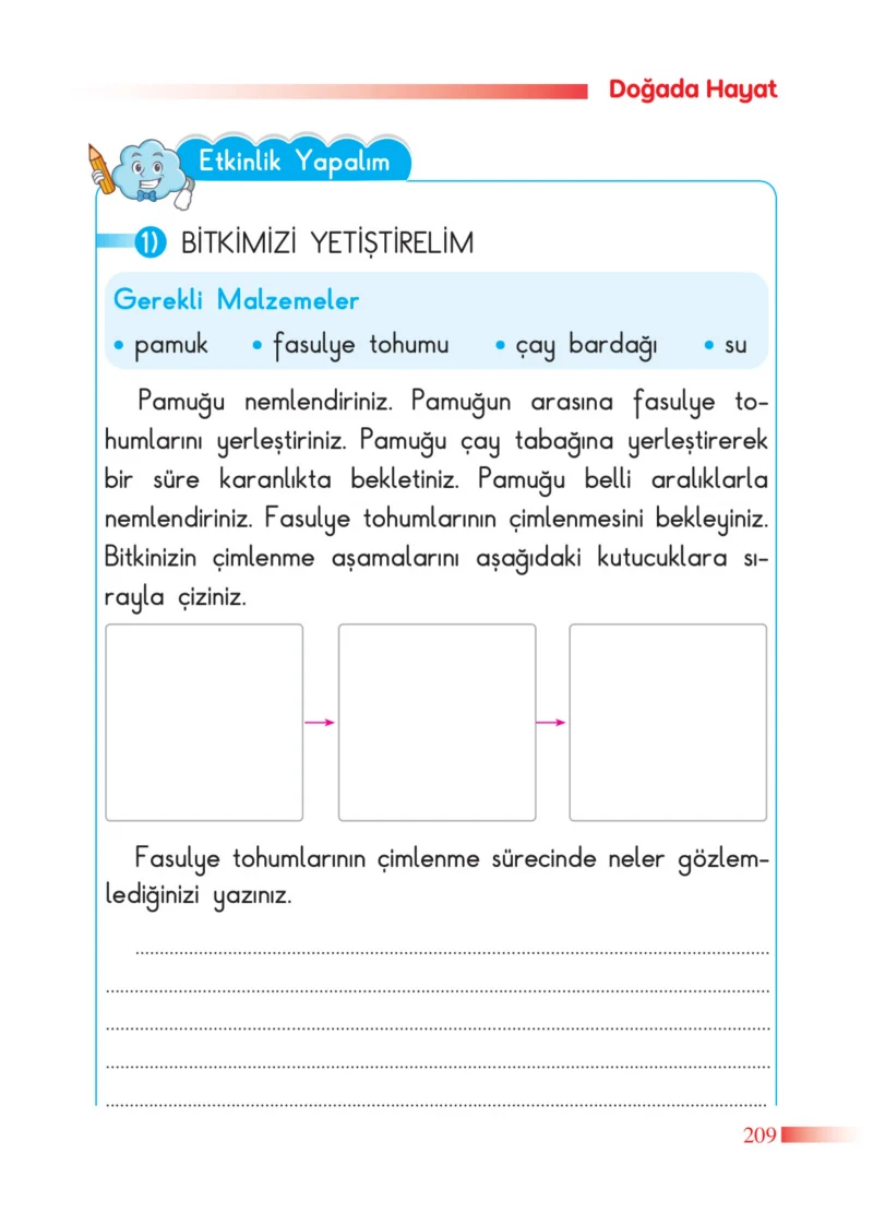 2. Sınıf Hayat Bilgisi Ders Kitabı Cevapları SDR Dİkey Yayınları Sayfa 209