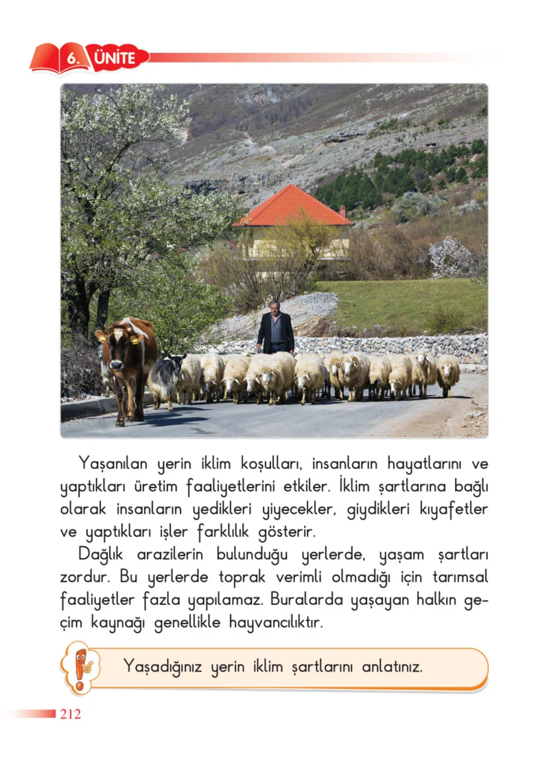 2. Sınıf Hayat Bilgisi Ders Kitabı Cevapları SDR Dİkey Yayınları Sayfa 212