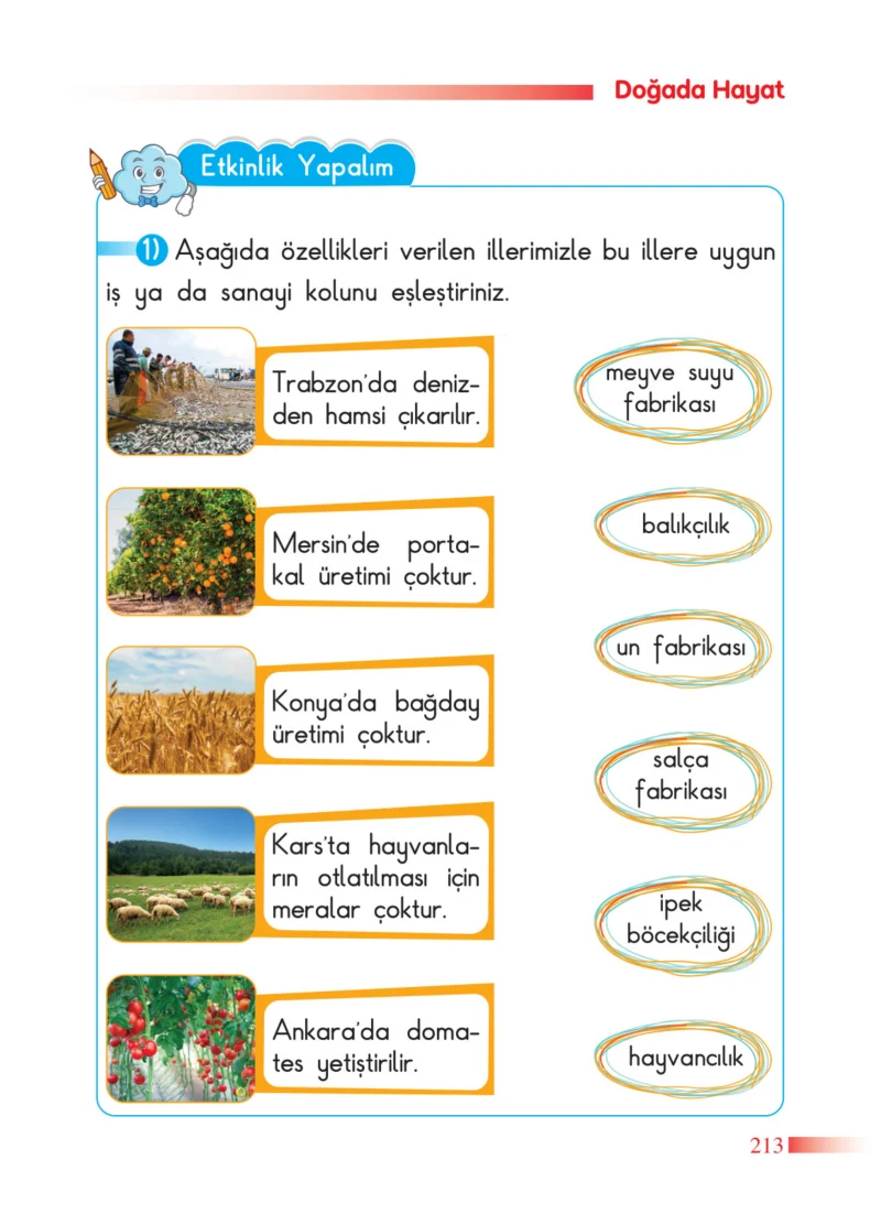 2. Sınıf Hayat Bilgisi Ders Kitabı Cevapları SDR Dİkey Yayınları Sayfa 213