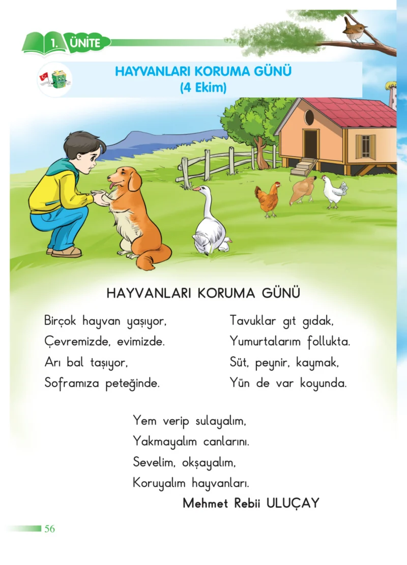 2. Sınıf Hayat Bilgisi Ders Kitabı Cevapları SDR Dİkey Yayınları Sayfa 56
