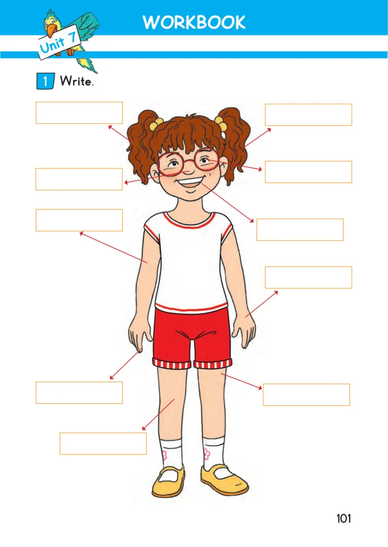 2. Sınıf İngilizce Ders Kitabı Cevapları Bilim ve Kültür Yayınları Sayfa 101