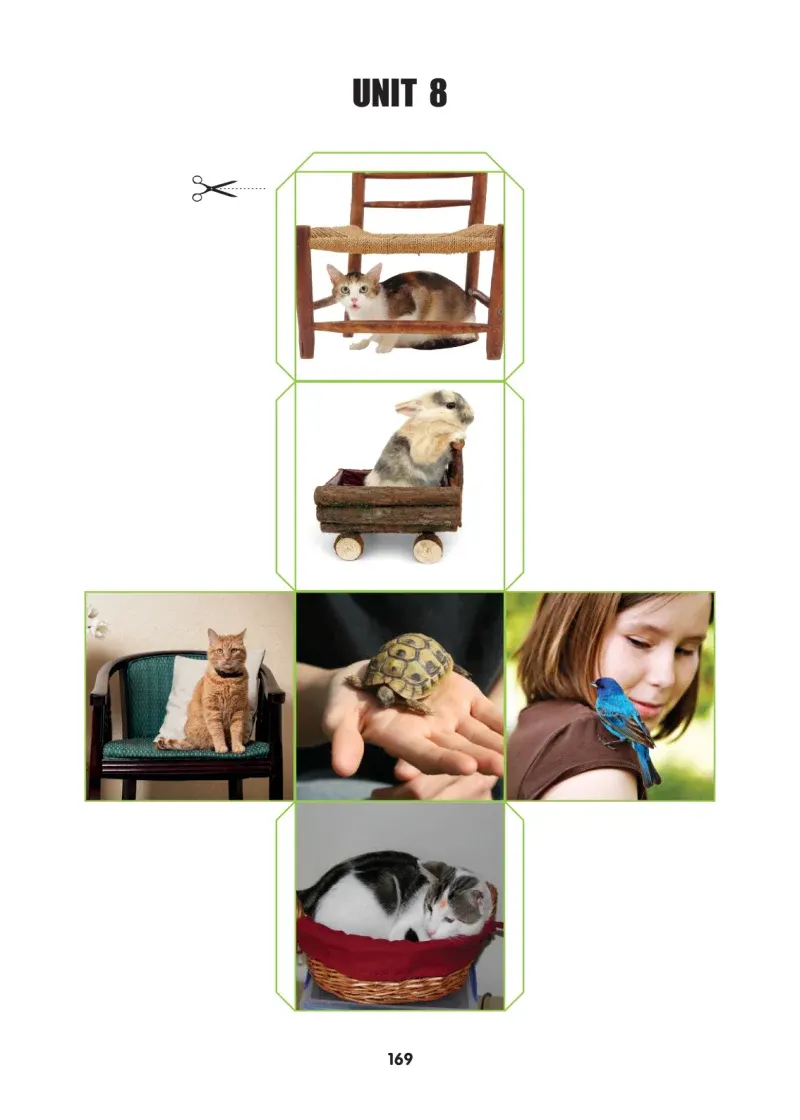 2. Sınıf İngilizce Ders Kitabı Cevapları Hecce Yayınları Sayfa 169