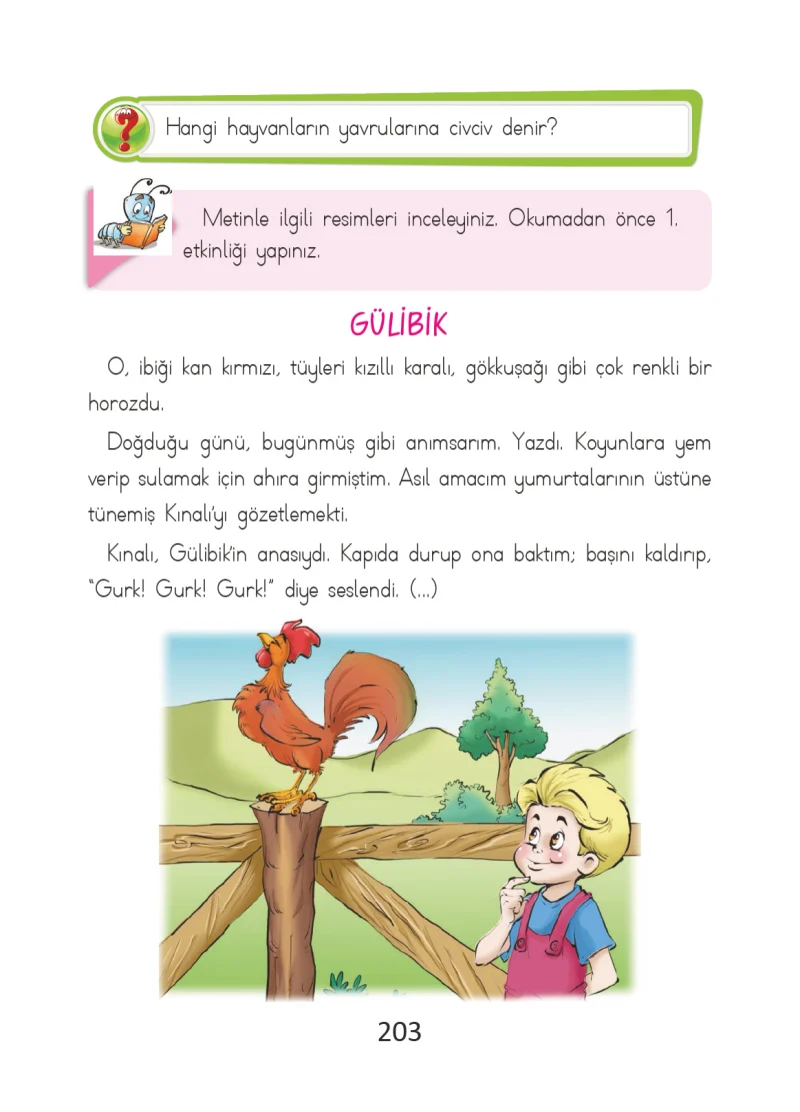 2. Sınıf Türkçe Ders Kitabı Cevapları Ada Matbaacılık Yayıncılık Sayfa 203