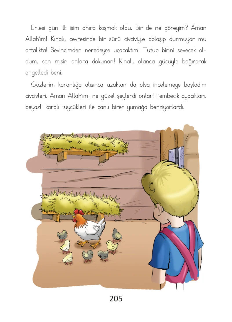 2. Sınıf Türkçe Ders Kitabı Cevapları Ada Matbaacılık Yayıncılık Sayfa 205