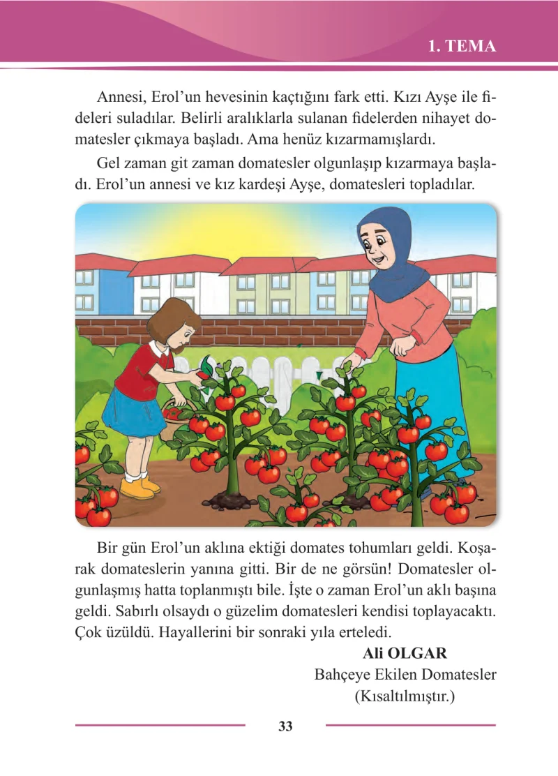 2. Sınıf Türkçe Ders Kitabı Cevapları Bilim ve Kültür Yayınları Sayfa 33