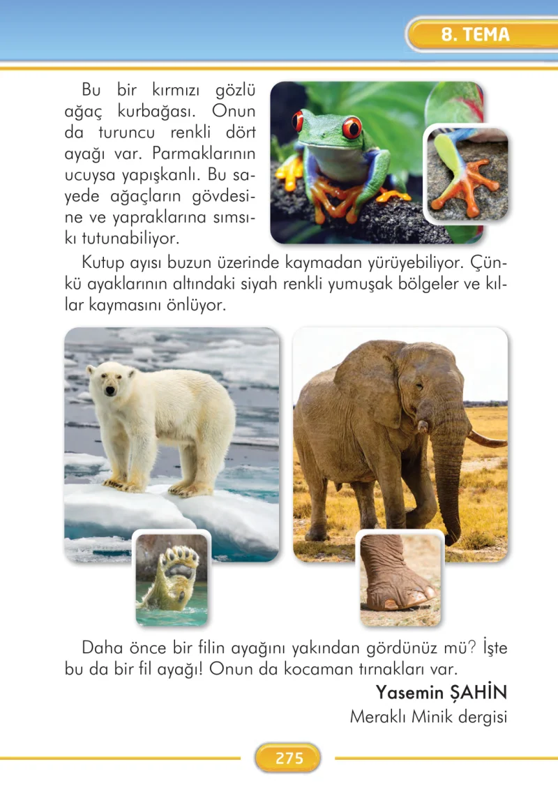 2. Sınıf Türkçe Ders Kitabı Cevapları İlke Yayınları Sayfa 275